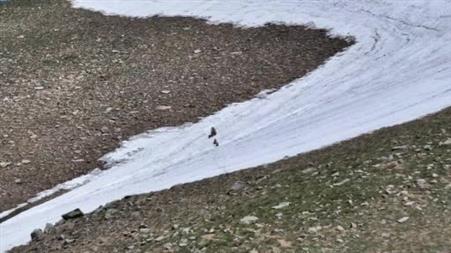 Kösedağ zirvesinde nefes kesen görüntü: Anne ayı ve 3 yavrusu dronla görüntülendi