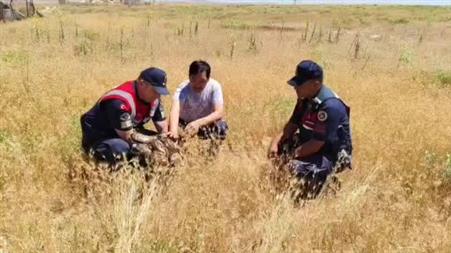 Yozgat’ta yaralı bulunan şahin koruma altına alındı