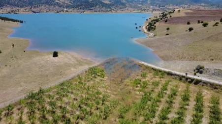 Yozgat’ta badem ağaçları sular altında kaldı