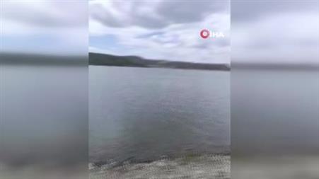‘Altın balığı’ tuttum diye sevindi, oltadan sazan balığı çıktı