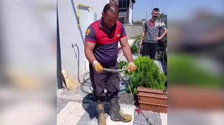 Yozgat’ta evin bahçesine giren yılan doğaya bırakıldı