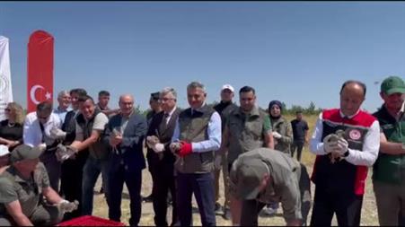 Çamlık Milli Parkı’nda bin keklik doğaya kanat çırptı