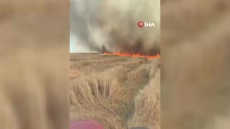 Beypazarı’nda bin 500 dönüm ekili arazi kül oldu