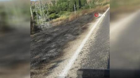 Asfalt üzerine sıcaktan bitap düşen kaplumbağayı ezilmekten kurtardı