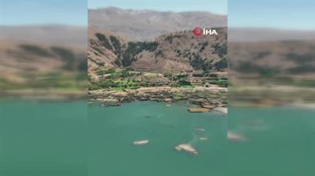 Bakan Kurum, Adıyaman’da depremden sonra inşa edilen köy evlerini paylaştı