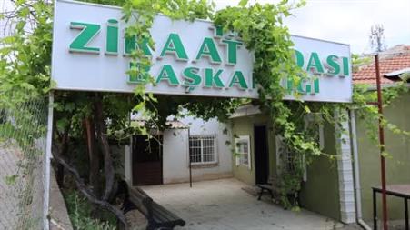 Kırşehir’de hasadın yüzde 65’i tamamlandı