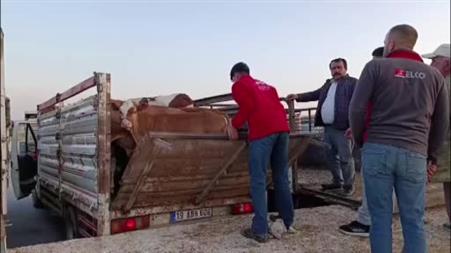 Hayvan fiyatları düşüşte, besiciler ‘Tam alım zamanı’ diyor