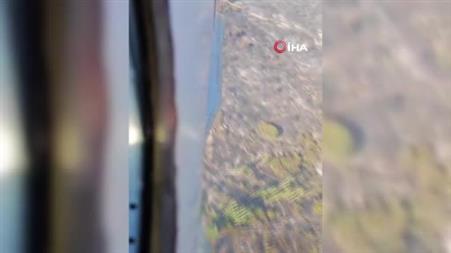 Seydikemer’deki yangın kontrol altına alındı