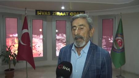 Yağışlar berekete dönüştü, hububatta rekor bekleniyor