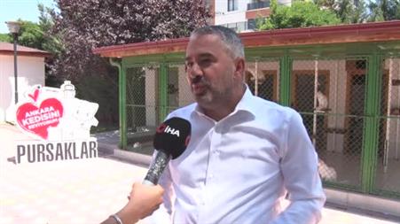 Ankara kedileri 27 ülkede 7 gün 24 saat canlı izlenebiliyor