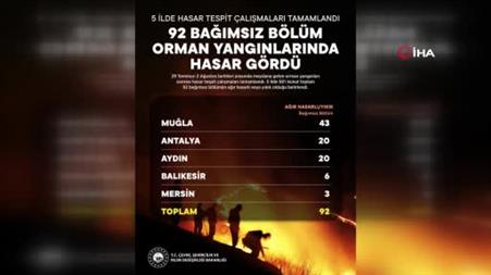 Orman yangınından etkilenen 5 ilde hasar tespit çalışmaları tamamlandı