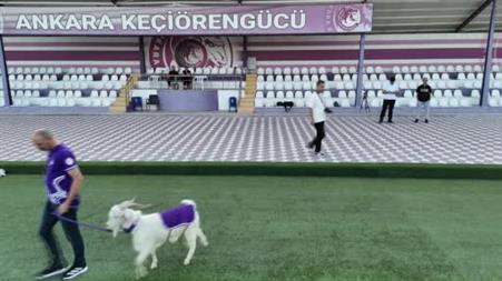 Keçiörengücü’nün maskotu Tiftik maça çıkmaya hazırlanıyor