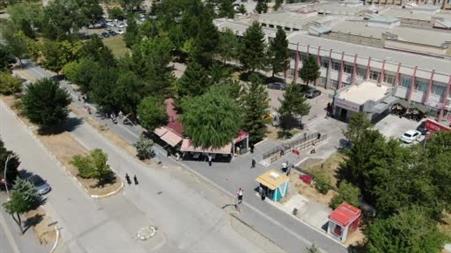 Kesmeye kıyamadığı salkım söğüdü, işletmenin simgesi oldu