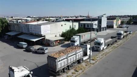 Buğday pazarında güvercinler de nasibini alıyor