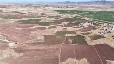 Cumhurbaşkanı’nın çağrısı yanıt buldu, Sivas’ta ayçiçeği üretimi geçen yıla göre yüzde 109 arttı