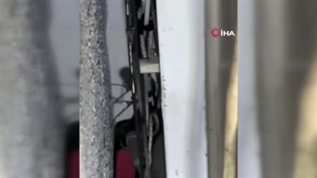 Dükkana giren yılan paniğe sebep oldu