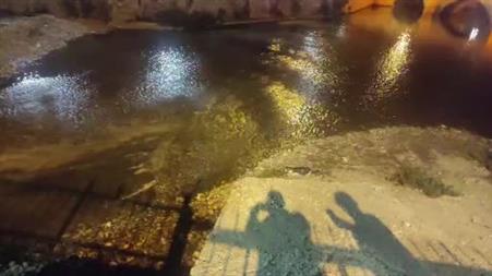 Konya’da su samuru sürprizi