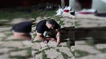 Bahçesinde sürünen yılanı fark etti, korkusuzca eline alıp sevdi