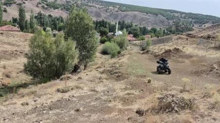 Doğada kendiliğinden yetişiyor faydaları saymakla bitmiyor