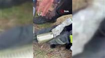 Kafasını konserve kutusuna sıkıştıran kediyi itfaiye kurtardı