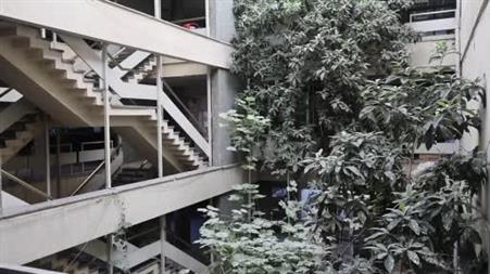 İş hanının ortasındaki ağaçlar dikkat çekiyor