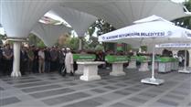 Ağaçtan düşen öğretmen hayatını kaybetti