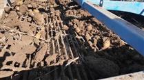 Niğde’de yerli patates çeşitlerinin hasadı yapıldı