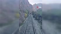 Tren yoluna çıkan ayılar panikle kaçıştı