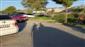 Klasik otomobiller Beyşehir Gölü’nü turladı