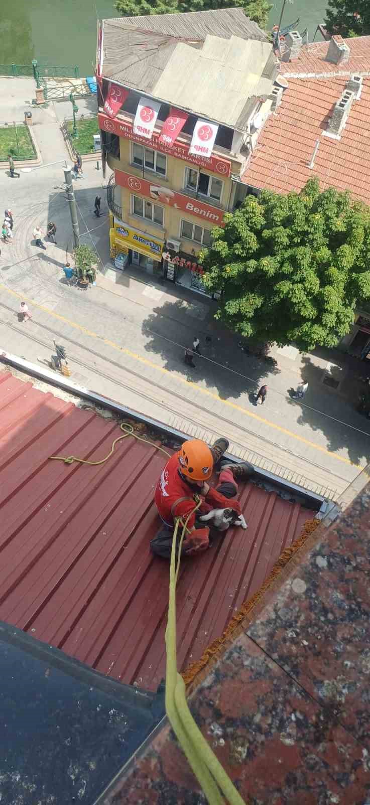 Dar alanda sıkışan kediyi DAK ekipleri kurtardı