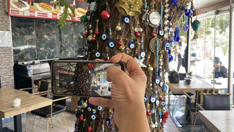 Kesmeye kıyamadığı salkım söğüdü, işletmenin simgesi oldu