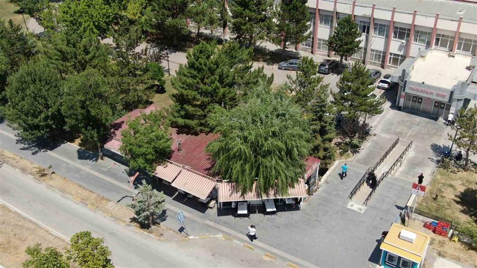 Kesmeye kıyamadığı salkım söğüdü, işletmenin simgesi oldu