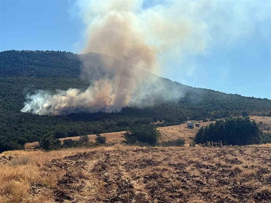 Mihalıççık’ta orman yangınına müdahale sürüyor