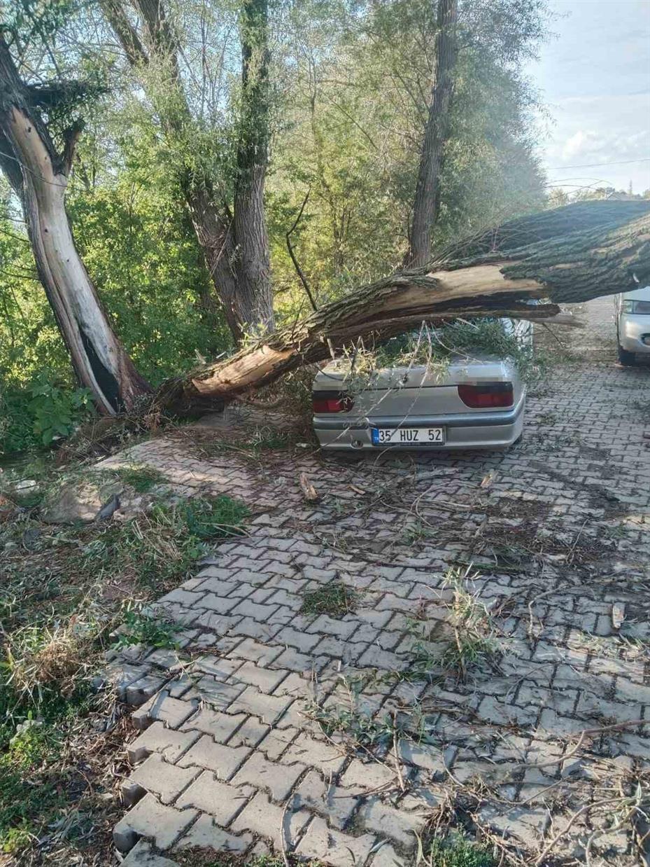 Fırtınada kökünden sökülen ağaç otomobilin üzerine devrildi