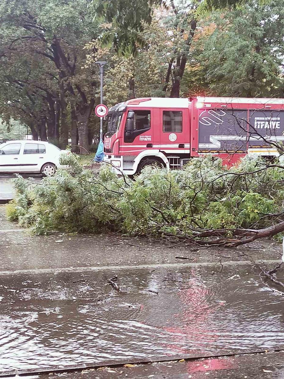 Başkentte yağıştan devrilen ağaç trafiği aksattı