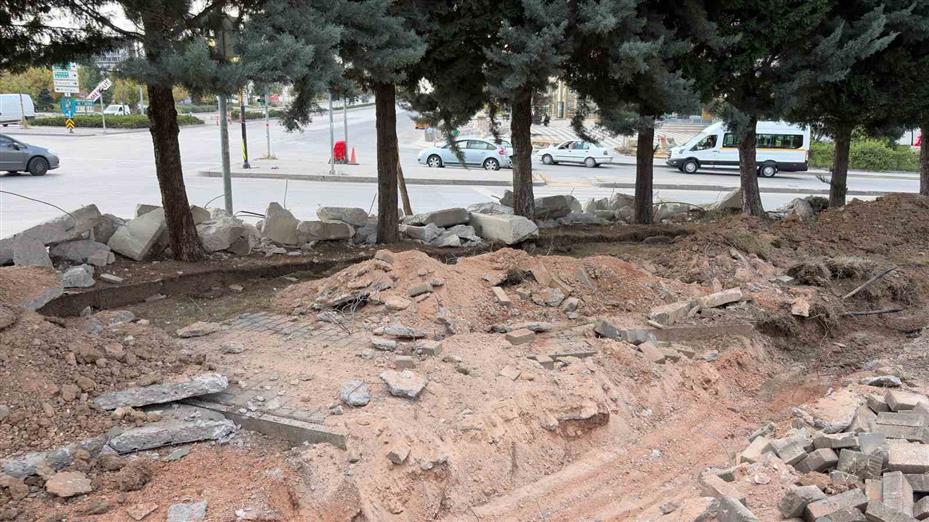 Ankara’da yol genişletme çalışmalarında 40 ağacın kesilmesi kararına tepki