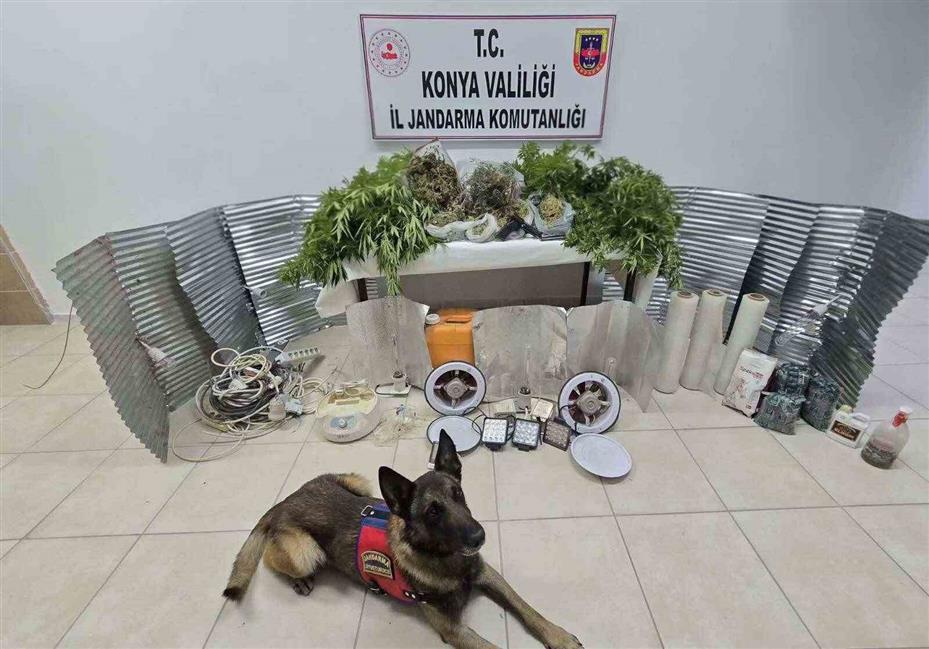 Konya’da jandarmadan uyuşturucu operasyonu: 6 tutuklama