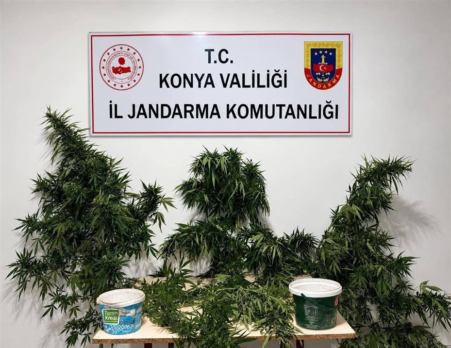 Konya’da jandarmadan uyuşturucu operasyonu: 6 tutuklama
