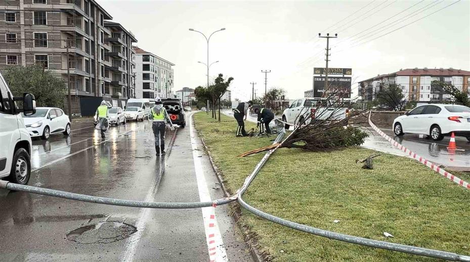 Kontrolden çıkan otomobil önce direği sonra ağacı devirdi: 1 yaralı