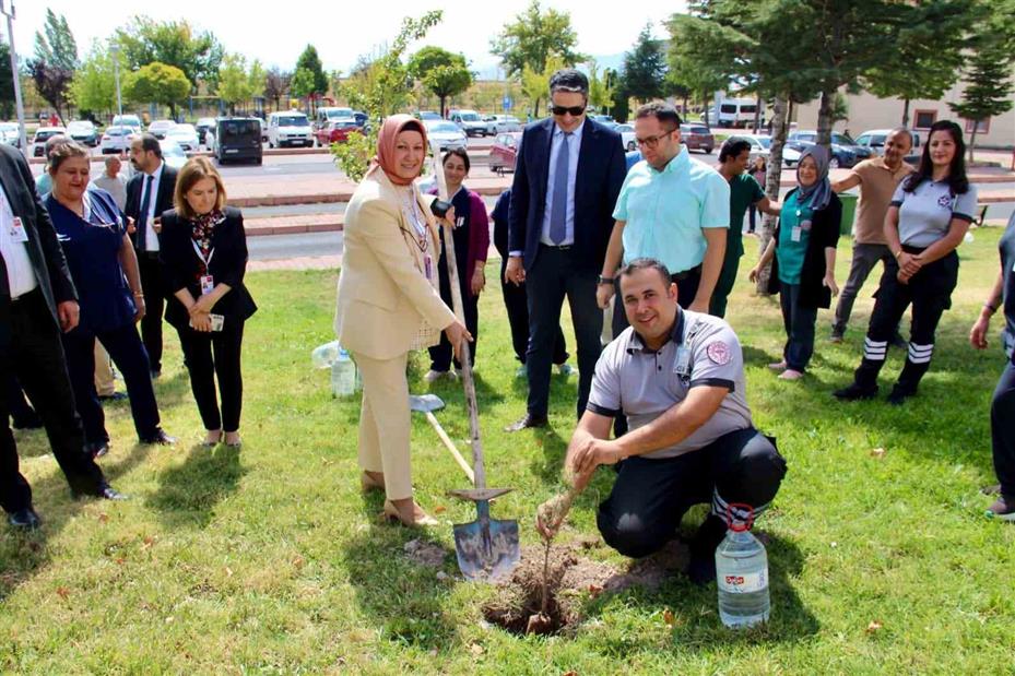 Devlet Hastanesi’nde ağaçlandırma seferberliği