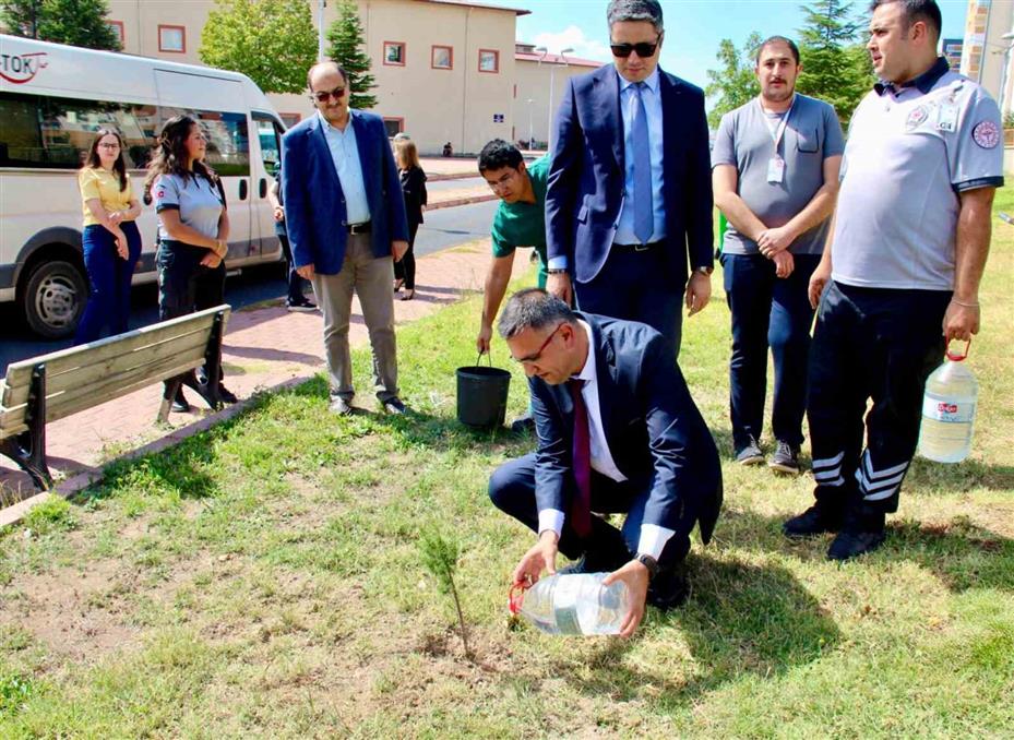 Devlet Hastanesi’nde ağaçlandırma seferberliği