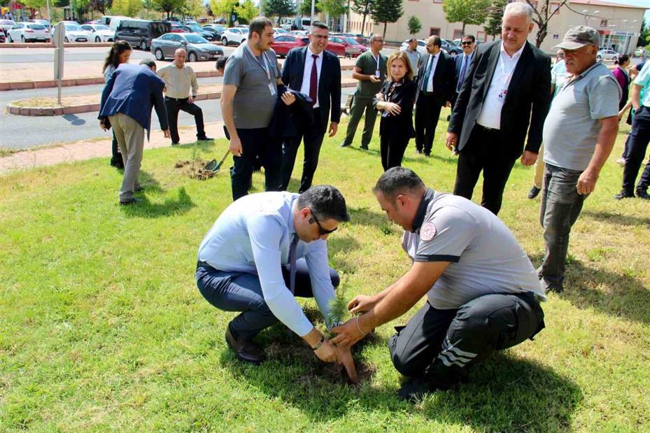 Devlet Hastanesi’nde ağaçlandırma seferberliği