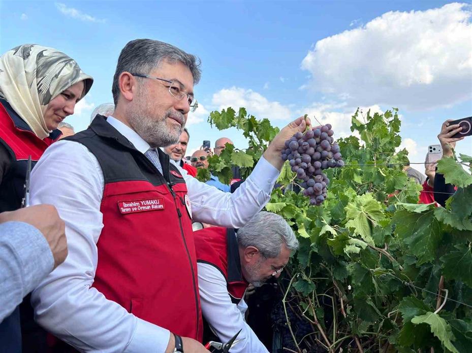 Bakan Yumaklı: "3 milyon 850 bin tonluk bir üzüm üretimi ülkemizde gerçekleşmiş olacak"