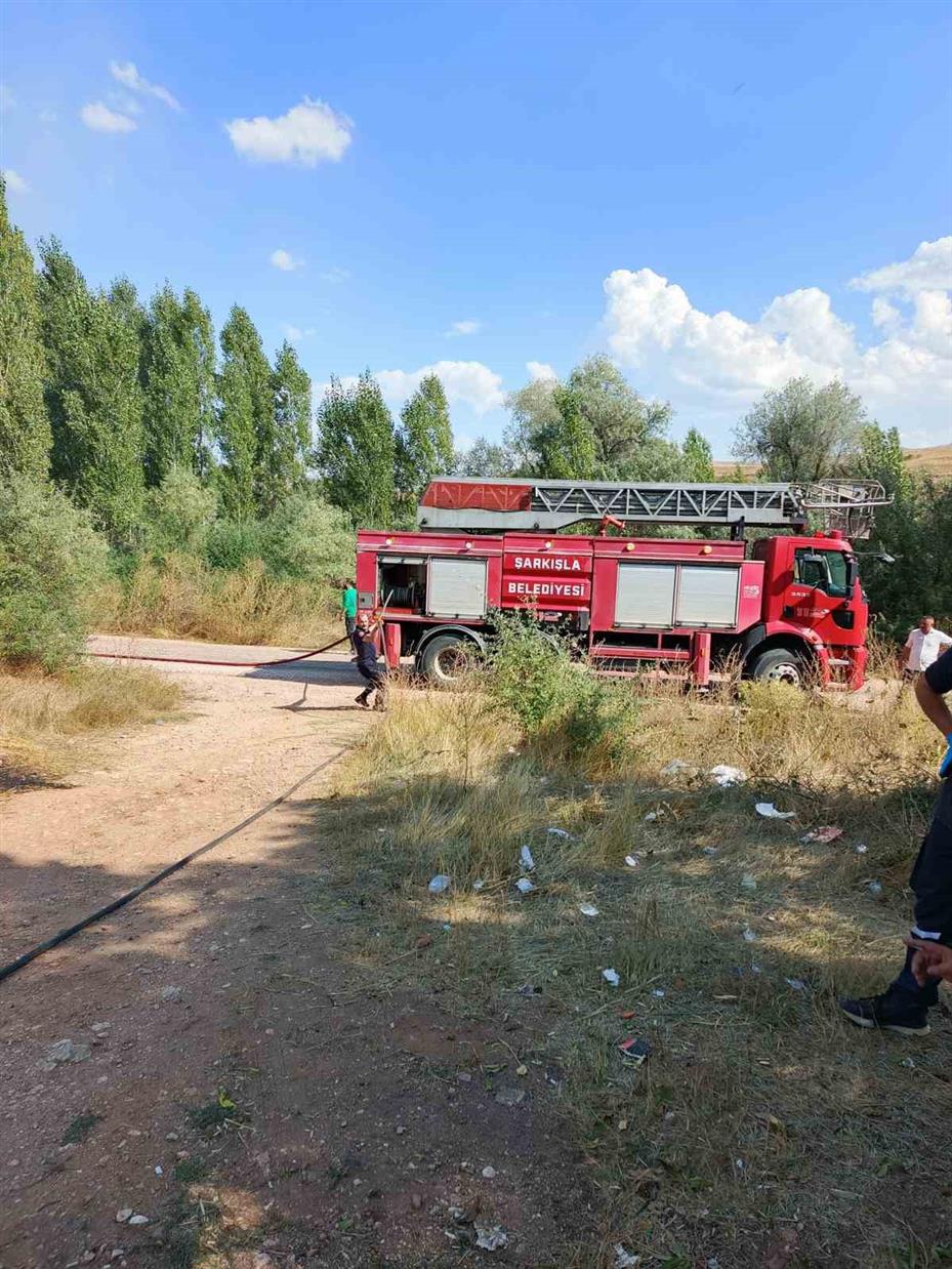 Park halindeki minibüste başlayan yangın araziye sıçradı