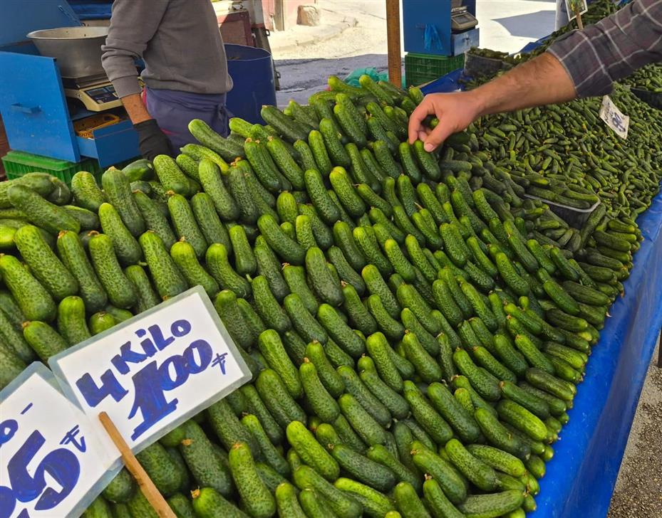 Pazarda turşu mesaisi başladı