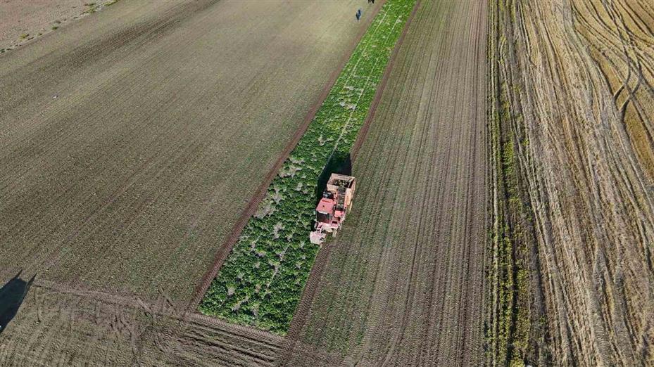 Yozgat’ta 6 aylık emeğin hasadı başladı