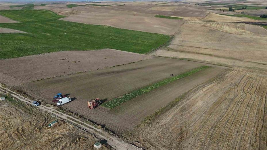 Yozgat’ta 6 aylık emeğin hasadı başladı