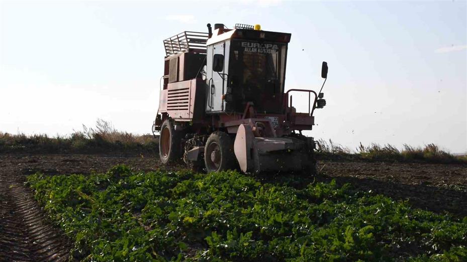 Yozgat’ta 6 aylık emeğin hasadı başladı