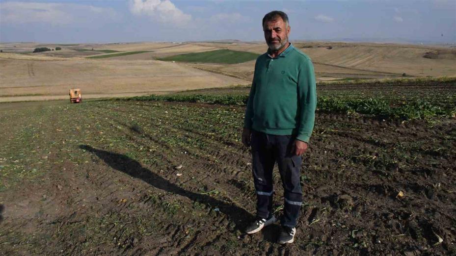 Yozgat’ta 6 aylık emeğin hasadı başladı