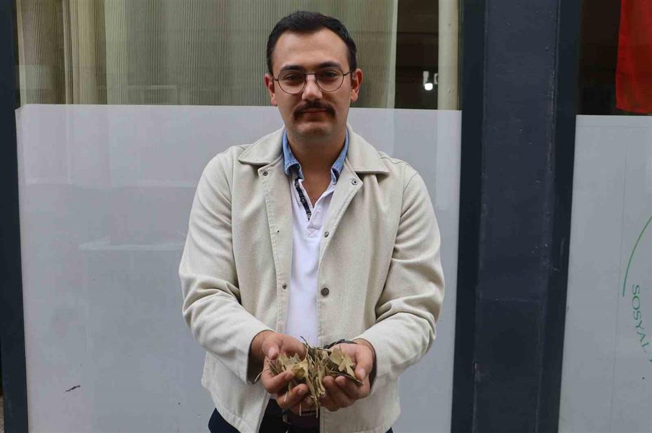 Atom bombasından kurtulan bitki, KPSS’ye hazırlananlara deva oluyor